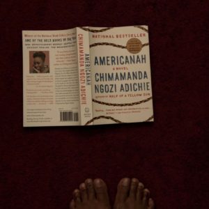 Read more about the article Book Review: Americanah by Chimamanda Ngozi Adichie