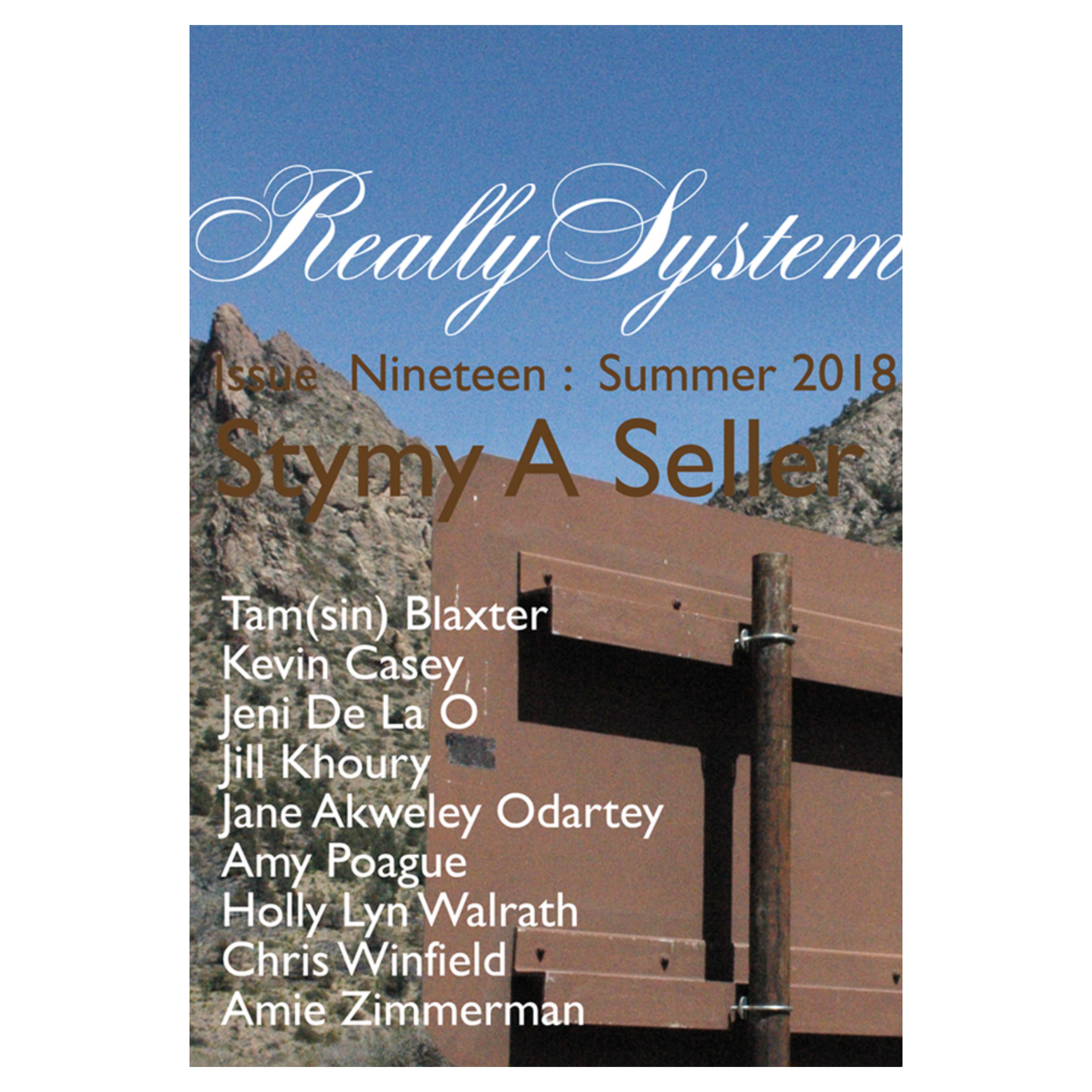 Read more about the article New Published Poem in Really System Issue 19
