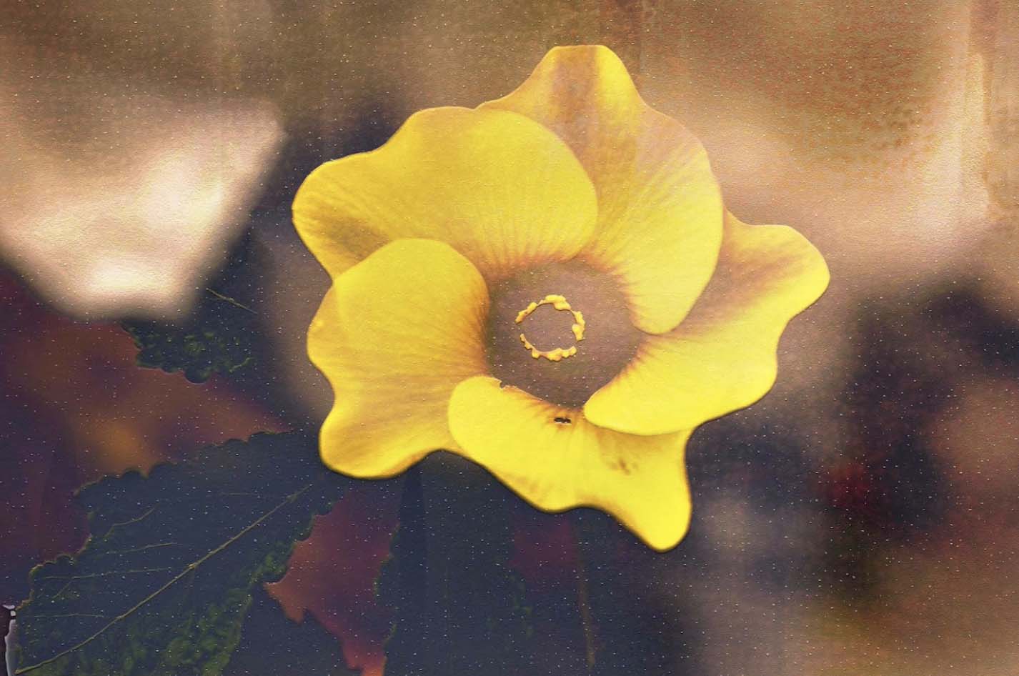 Read more about the article Poetry: Epilogue by Grace Nichols
