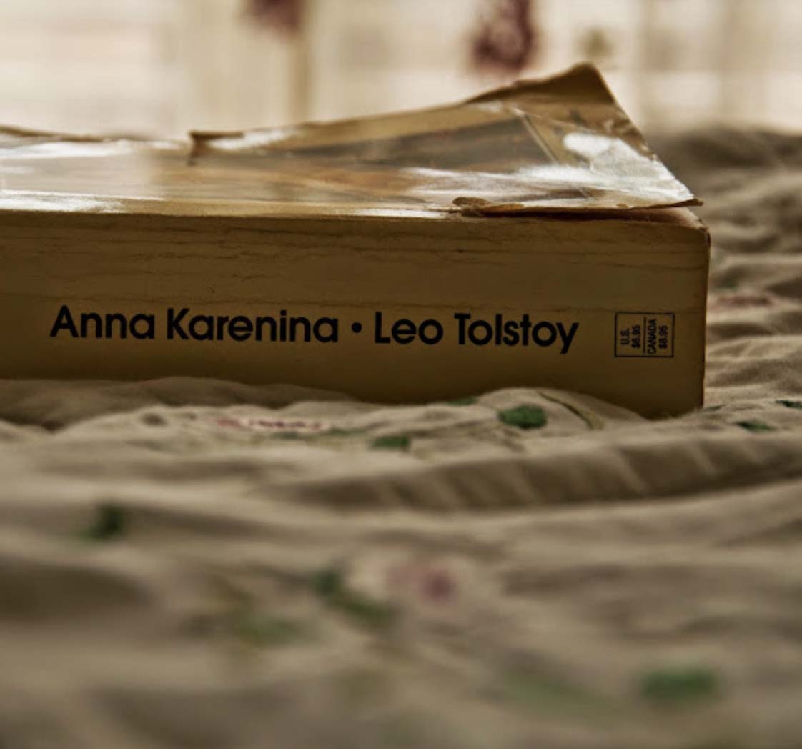 Read more about the article Summer Diary: Anna Karenina & Other Distractions